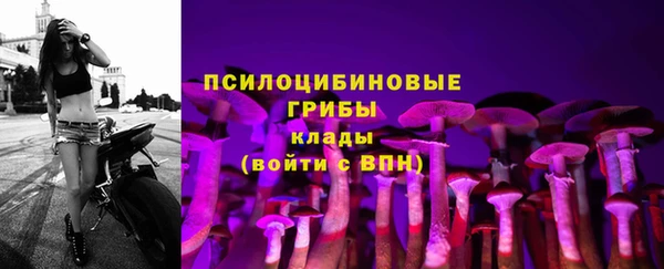 прущая мука Новозыбков