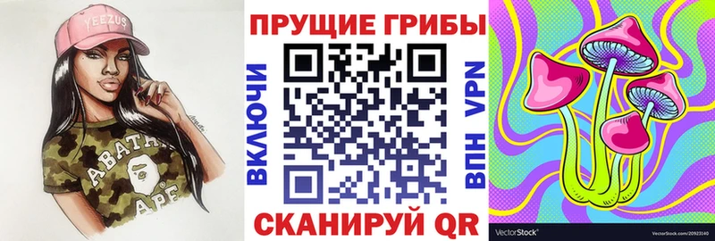 закладки  Снежинск  Псилоцибиновые грибы MAGIC MUSHROOMS 