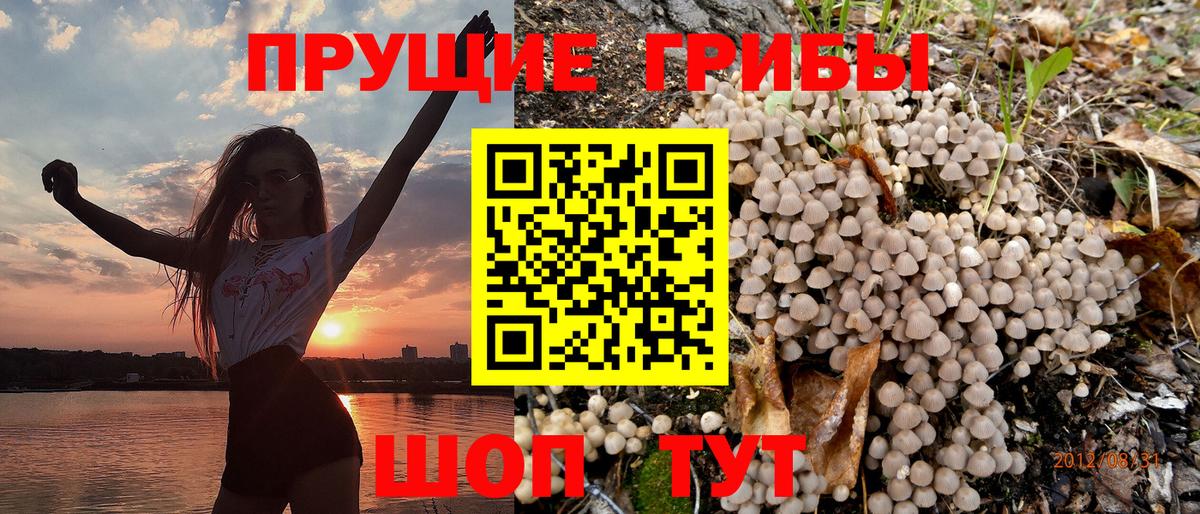 Псилоцибиновые грибы Cubensis  Галлюциногенные грибы MAGIC MUSHROOMS  Снежинск  Вход с VPN 